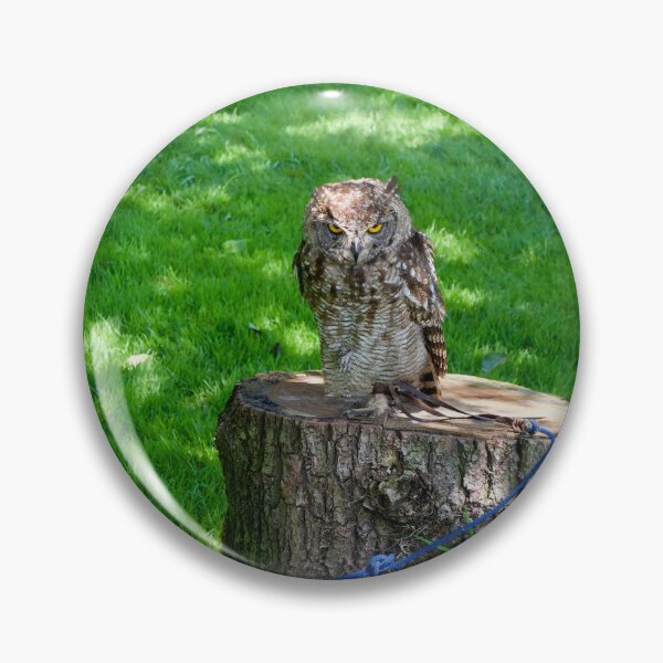 Item preview, Angry Owl On A Log designed and sold by thelemmingface.
