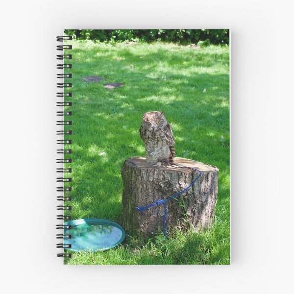 Item preview, Angry Owl On A Log designed and sold by thelemmingface.