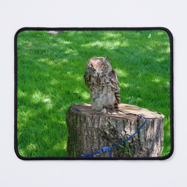 Item preview, Angry Owl On A Log designed and sold by thelemmingface.