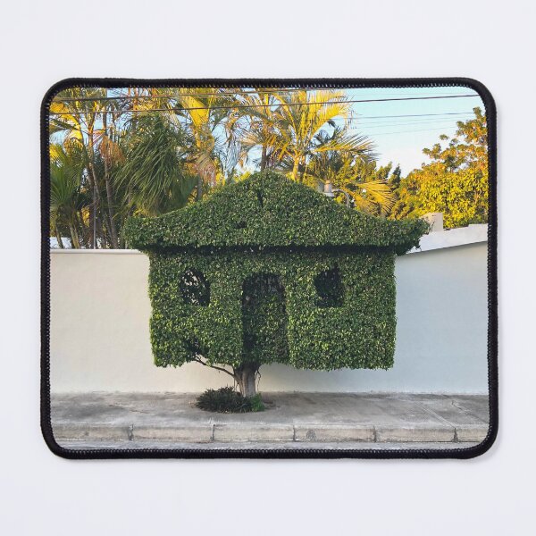 Item preview, The Hedge House in Merida, Mexican Plant Photographs designed and sold by YemmyZImages.