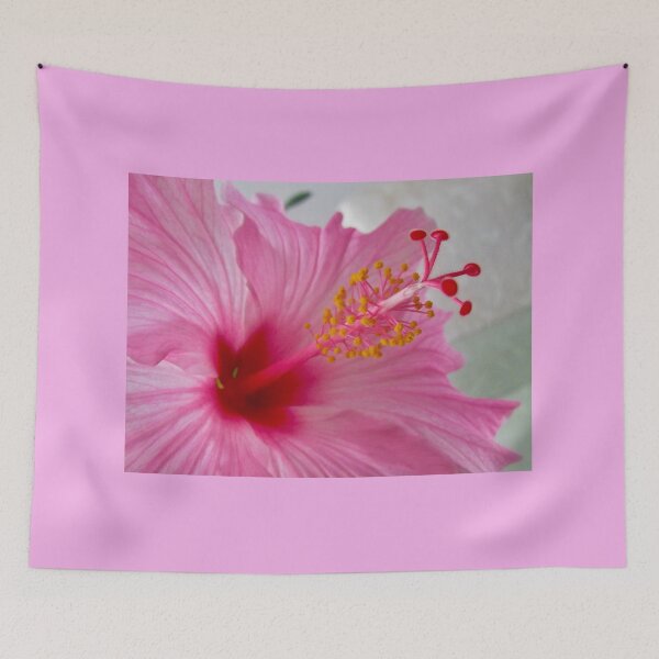 Item preview, Pink Hibiscus designed and sold by Shulie1.