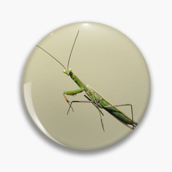Item preview, Praying Mantis designed and sold by RainbowSpinkle.