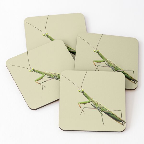Item preview, Praying Mantis designed and sold by RainbowSpinkle.