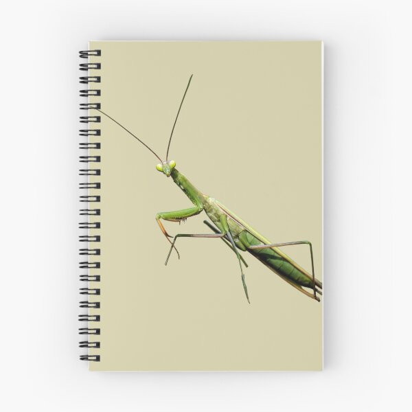 Item preview, Praying Mantis designed and sold by RainbowSpinkle.