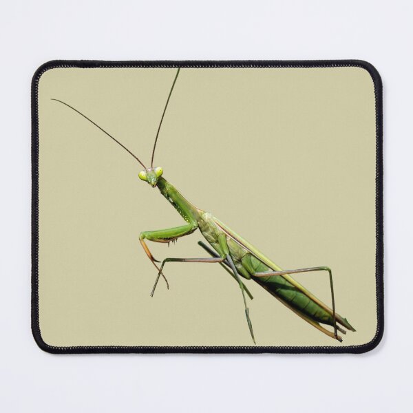 Item preview, Praying Mantis designed and sold by RainbowSpinkle.