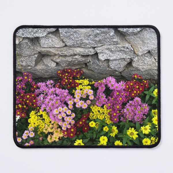 Item preview, Flowers against a stone wall - Dark Floral Photographs designed and sold by YemmyZImages.