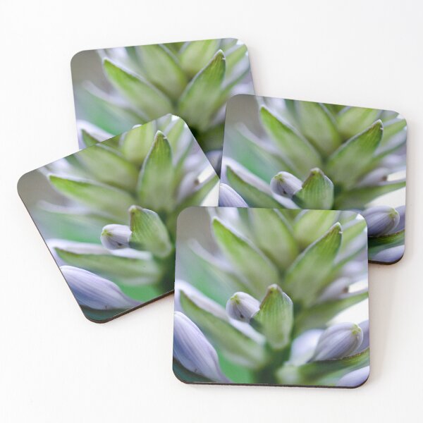 Item preview, Succulent designed and sold by akiobsession.