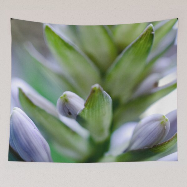 Item preview, Succulent designed and sold by akiobsession.