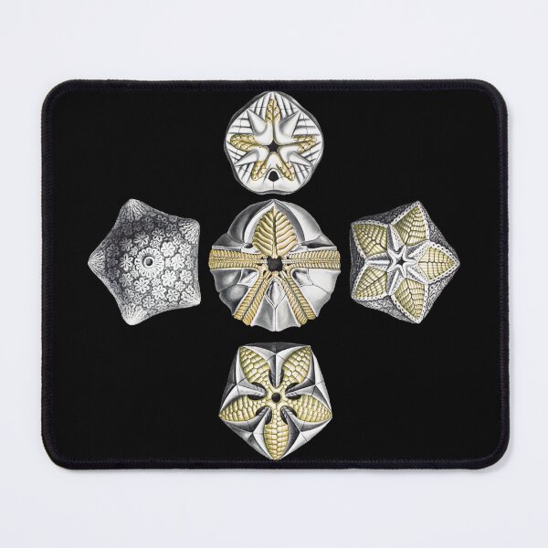 Item preview, Ornamental five stars  designed and sold by Giovanni-c.