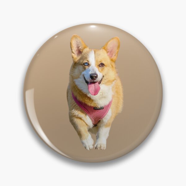 Artikelvorschau, Intelligenter Corgi entworfen und verkauft von RainbowSpinkle.