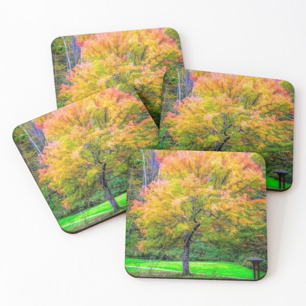 Item preview, Tree in Autumn- Kent Falls Ct. designed and sold by Smoothstones.