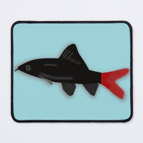 Item preview, Red Tail Black Shark designed and sold by killies.