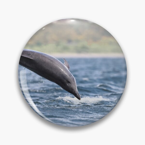 Item preview, Flying dolphin designed and sold by chanonry.