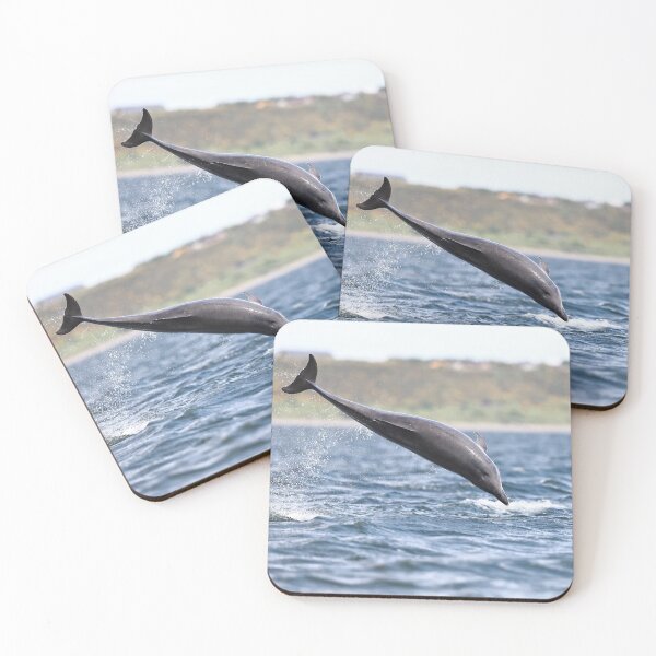 Item preview, Flying dolphin designed and sold by chanonry.