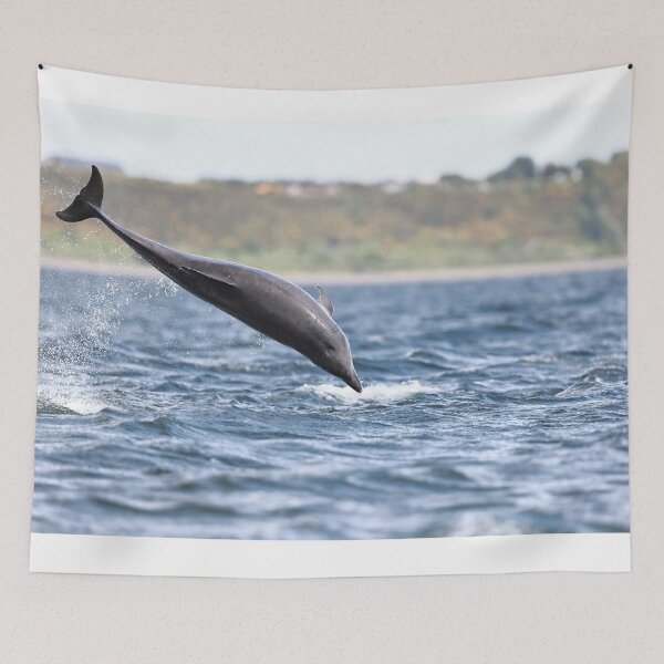 Item preview, Flying dolphin designed and sold by chanonry.