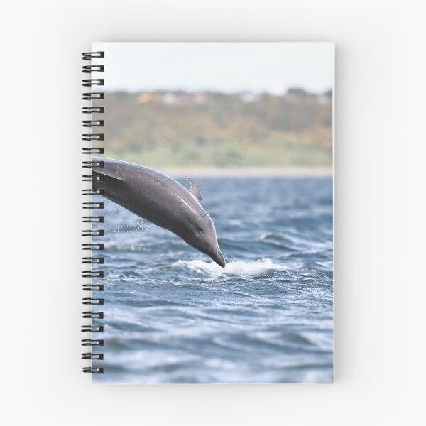Item preview, Flying dolphin designed and sold by chanonry.