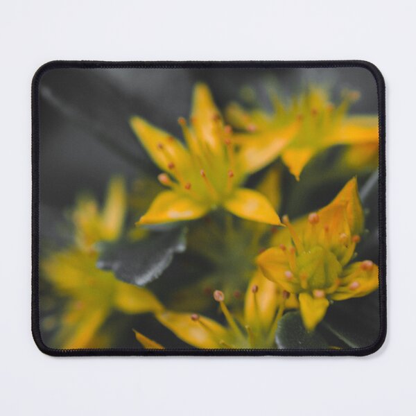 Item preview, Yellow and Grey designed and sold by akiobsession.