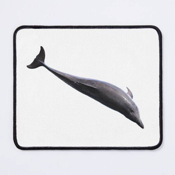 Item preview, Flying dolphin designed and sold by chanonry.