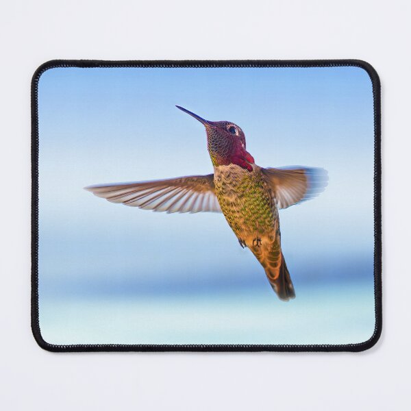 Item preview, Hummingbird Beauty designed and sold by CarolM.