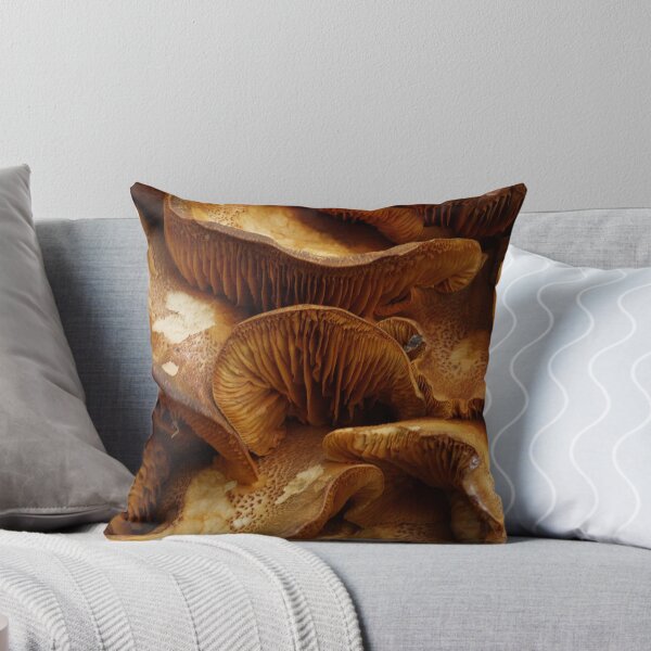 Item preview, It's a real funghi designed and sold by darkwolf666.