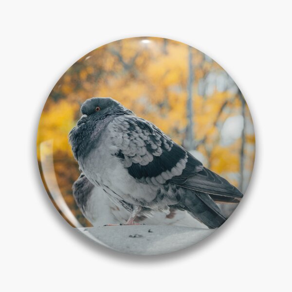 Item preview, Autumn Pigeon designed and sold by Georgia Fitzgerald.