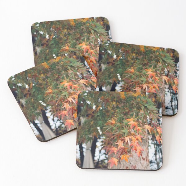 Item preview, changing leaves designed and sold by JayMonochrome.