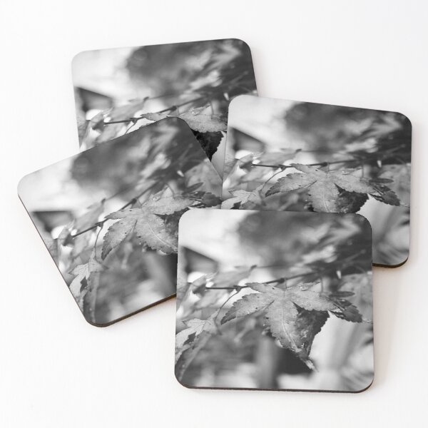 Item preview, leaves monochrome designed and sold by JayMonochrome.