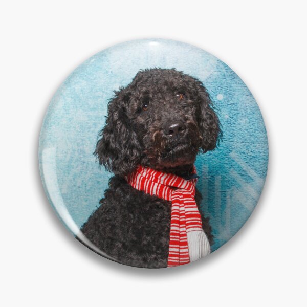 Item preview, Black Poodle wearing a red and white striped scarf designed and sold by Spring Reilly.