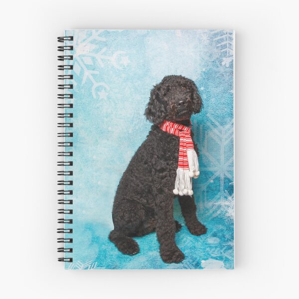 Item preview, Black Poodle wearing a red and white striped scarf designed and sold by Spring Reilly.