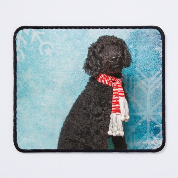 Item preview, Black Poodle wearing a red and white striped scarf designed and sold by Spring Reilly.