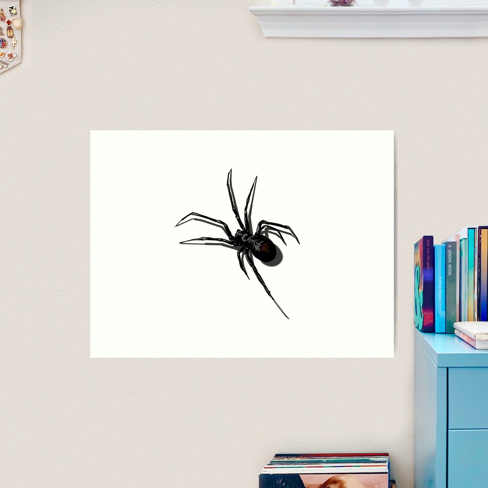 Spider drawing hi-res stock photography and images - Page 2 - Alamy