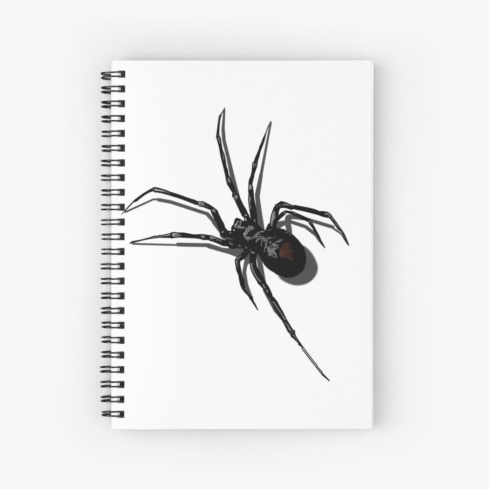 Spider Sketch Vector Images (over 3,900)