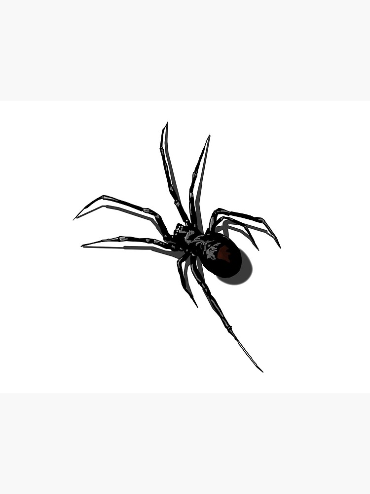 Realist Spider Drawing By Tonysld Background, Spider Picture Drawing, Spider,  Animal Background Image And Wallpaper for Free Download
