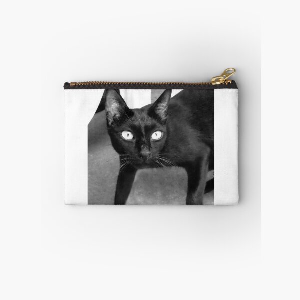 Item preview, Chat Noire designed and sold by V1mage.