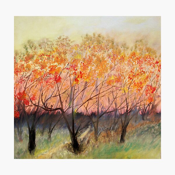Artikelvorschau, Autumn Path entworfen und verkauft von Jose  DeLaRosa.