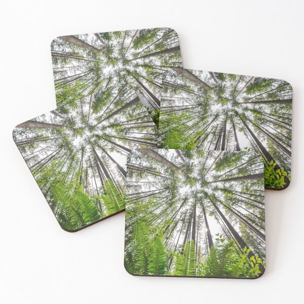 Item preview, Forest Floor View Looking Up at Tree Canopy designed and sold by Open Range Studios.