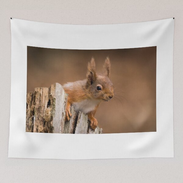 Item preview, Red Squirrel designed and sold by John Stoves.