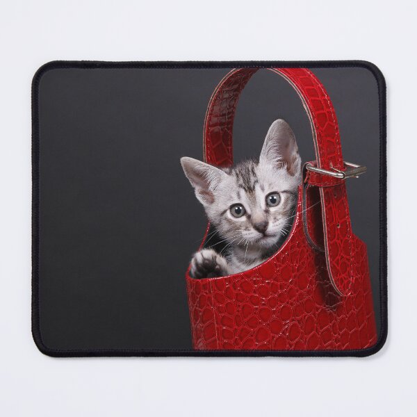 Item preview, Grey and White Kitten inside a Red Purse designed and sold by Spring Reilly.