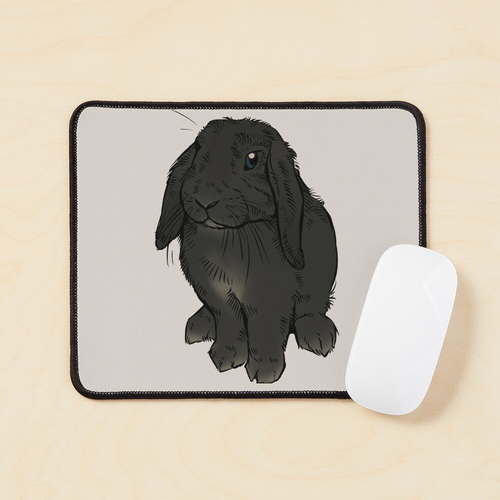 Black floppy shops eared bunny