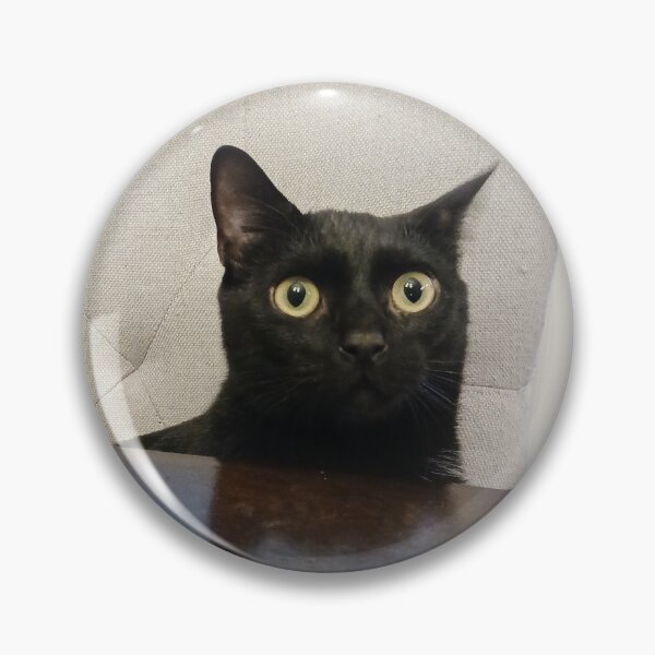 Item preview, Jovi Wants Dinner designed and sold by Cousin Bruce & Brother Jovi.