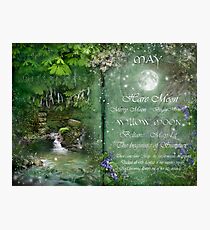 May - Willow Moon Photographic Print