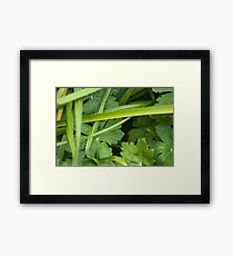 Green Framed Print