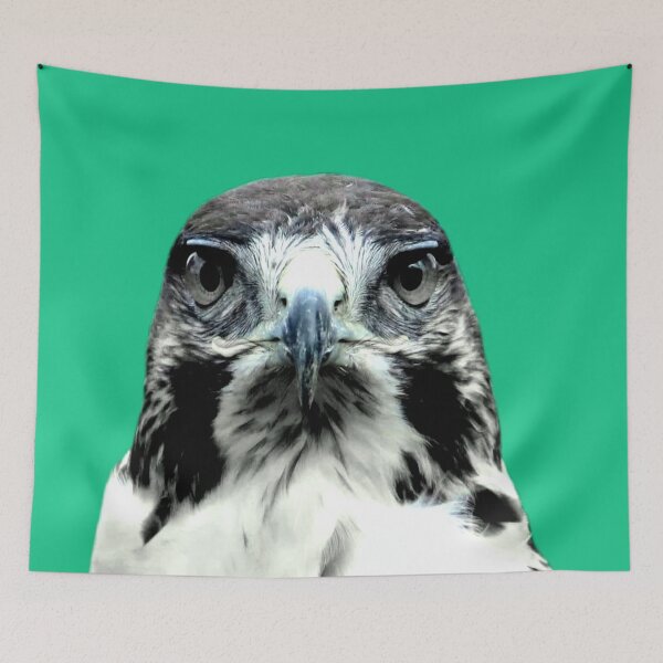 Item preview, Owl designed and sold by ontological.
