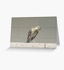 Are you talking to me? Greeting Card