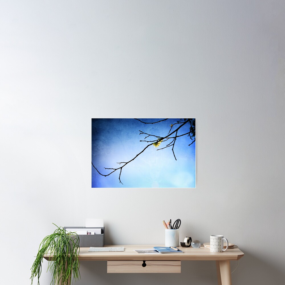 Item preview, Poster designed and sold by Loco.
