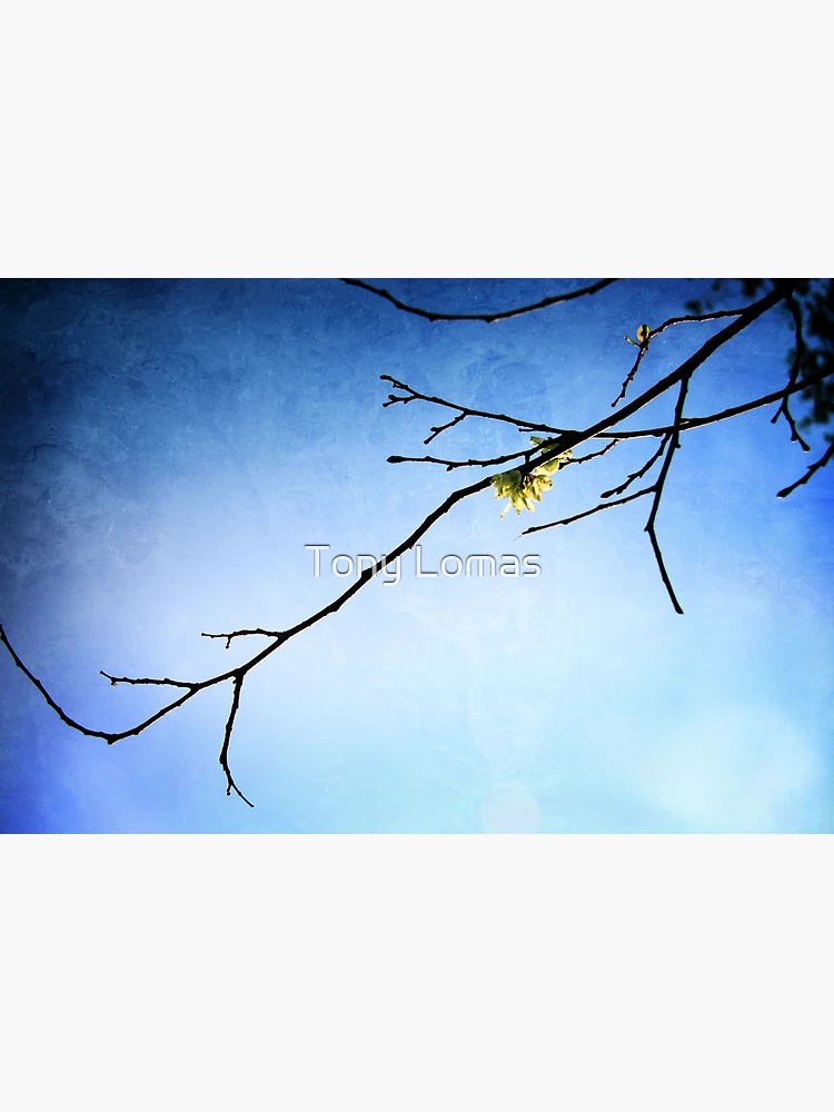 Thumbnail 3 of 3, Poster, Simple designed and sold by Tony Lomas.