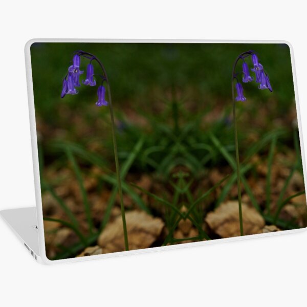 Single Bluebell in Prehen Woods, Derry Laptop Skin