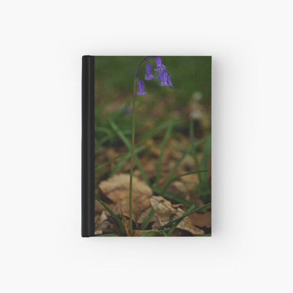Single Bluebell in Prehen Woods, Derry Hardcover Journal