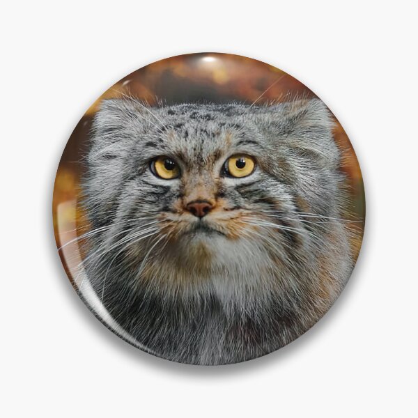 Item preview, Pallas's Cat / Manul designed and sold by MorningFive.