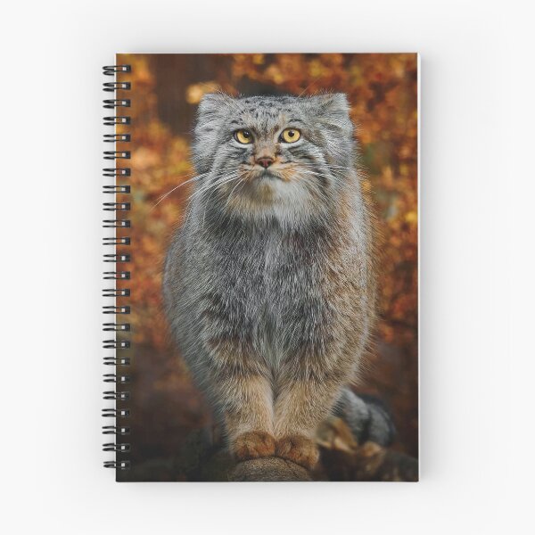 Item preview, Pallas's Cat / Manul designed and sold by MorningFive.